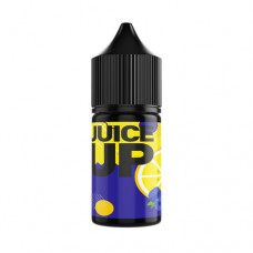 Аромабустер Juice Up 12 ml Blueberry Lemon - фото, ціна, купити, Україна, Київ.