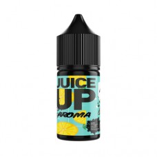 Аромабустер Juice Up 12 ml Mojito - фото, цена, купить, Украина, Киев.
