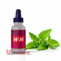 Ароматизатор World Market - Мята